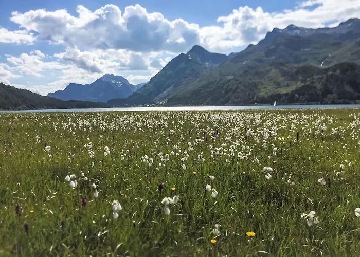 Chesa Mira Margna By Interhome